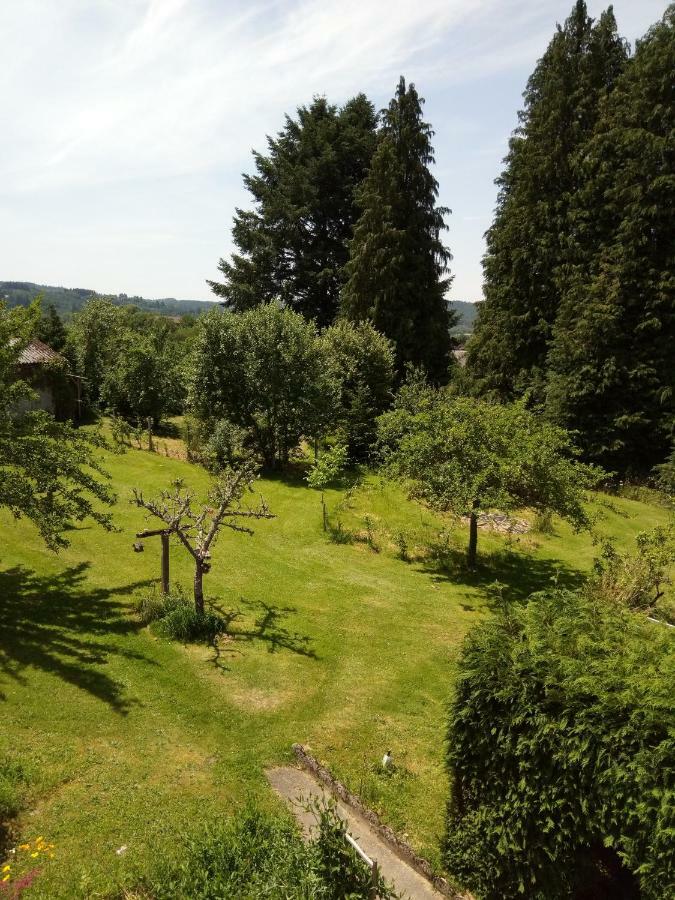La Maison Du Marchand Peyrat-le-Chateau Exterior photo